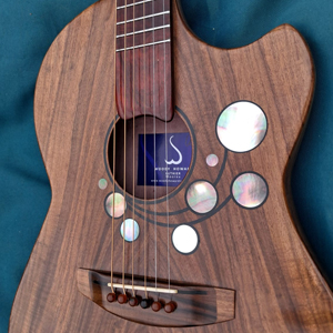 Tou wood electro acoustic
