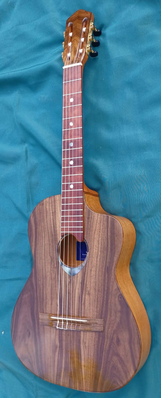 Tou/Mahogany Guitar