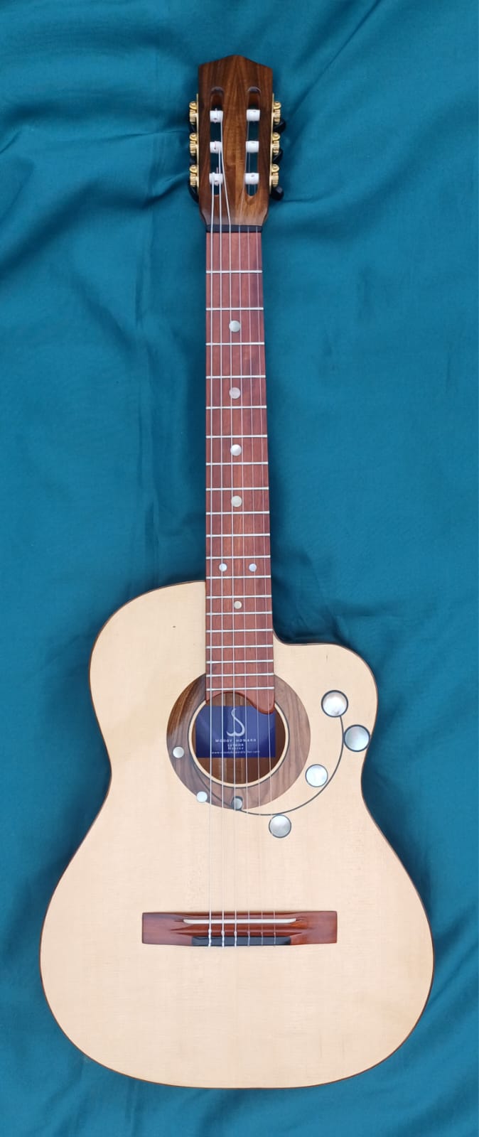 Cedar top Guitar